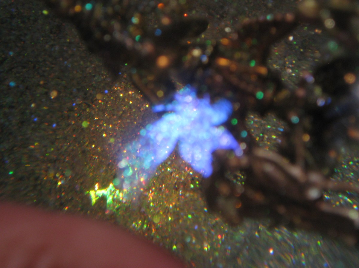 Glimpses of Angels snow globe Camryn Forrest Designs 2013