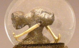 Hammerhead, or the virtue of being&nbsp;stubborn