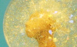 Untangling “The Tangle”