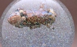 Air Apparent (the&nbsp;zeppelin)